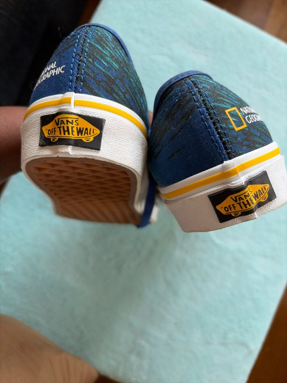 Vans National Geographic x Authentic 'Ocean' Vans